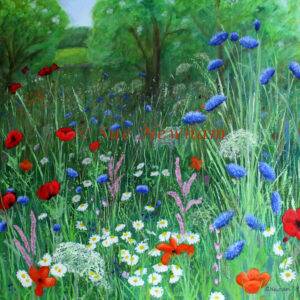 Wildflower meadow
