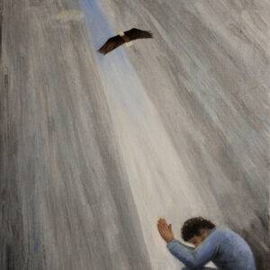Soar