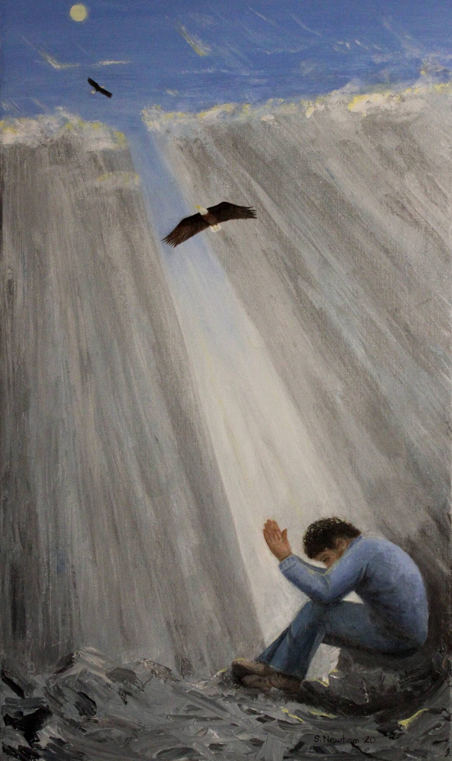 Soar