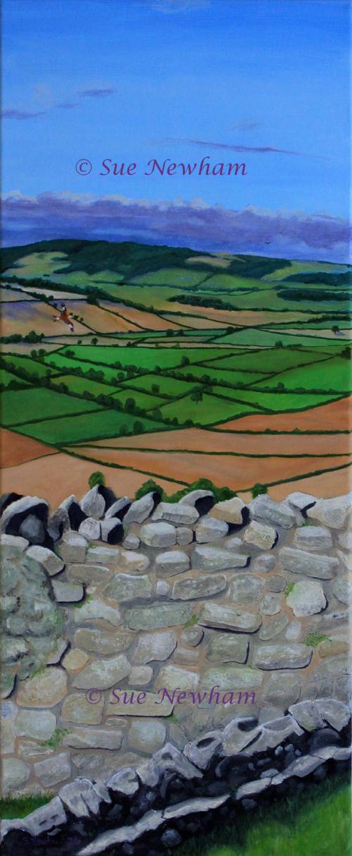 View from Montgomery Castle